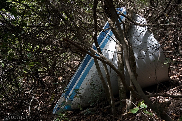 Cono di coda (40D_7174_1rid).jpg